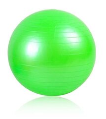 Võimlemispall / treeningpall koos pumbaga, 65cm цена и информация | Гимнастические мячи | kaup24.ee