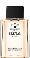 Kölnivesi La Rive Brutal Grand EDC meestele 100 ml hind ja info | Meeste parfüümid | kaup24.ee