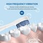 Elektriline hambahari 3D DuPont harjapeadega LIVMAN 101 hind ja info | Elektrilised hambaharjad | kaup24.ee