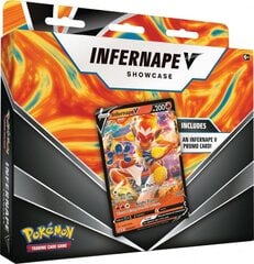 Kortos Pokemon Infernape V Showcase Box, EN цена и информация | Настольные игры, головоломки | kaup24.ee