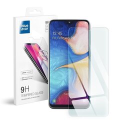 Blue Star Samsung Galaxy A20e hind ja info | Ekraani kaitsekiled | kaup24.ee