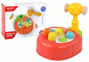 Värviline porgandimäng Huanger hind ja info | Imikute mänguasjad | kaup24.ee