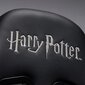 Mängutool Subsonic Pro Harry Potter Slytherin, must/roheline hind ja info | Kontoritoolid | kaup24.ee
