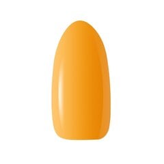 Стойкий гибридный гель лак для ногтей CLARESA WARM IN FALL 1, 5 г цена и информация | Лаки для ногтей, укрепители для ногтей | kaup24.ee
