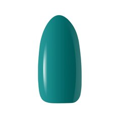 Стойкий гибридный гель лак для ногтей CLARESA WARMIN" FALL 2, 5 г цена и информация | Лаки для ногтей, укрепители для ногтей | kaup24.ee