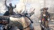 Mäng Assassins Creed: IV Black Flag, PS4 hind ja info | Arvutimängud, konsoolimängud | kaup24.ee