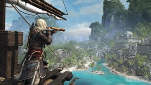 Mäng Assassins Creed: IV Black Flag, PS4 цена и информация | Компьютерные игры | kaup24.ee