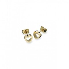 Naiste kõrvarõngad AN Jewels S7252000 hind ja info | Kõrvarõngad | kaup24.ee