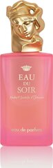 Parfüümvesi Sisley Ladies Eau Du Soir Edp naistele, 100 ml цена и информация | Женские духи | kaup24.ee