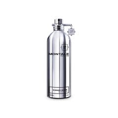 Lõhnavesi unisex Montale Paris Ginger Musk EDP 100 ml hind ja info | Naiste parfüümid | kaup24.ee