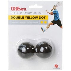 Squashipallid Wilson Staff, 2 tk hind ja info | Squash | kaup24.ee