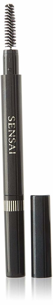 Kulmupliiats Kanebo Sensai Eyebrow Pencil 0.2 g, 01 Grayish Brown hind ja info | Kulmuvärvid, -pliiatsid | kaup24.ee