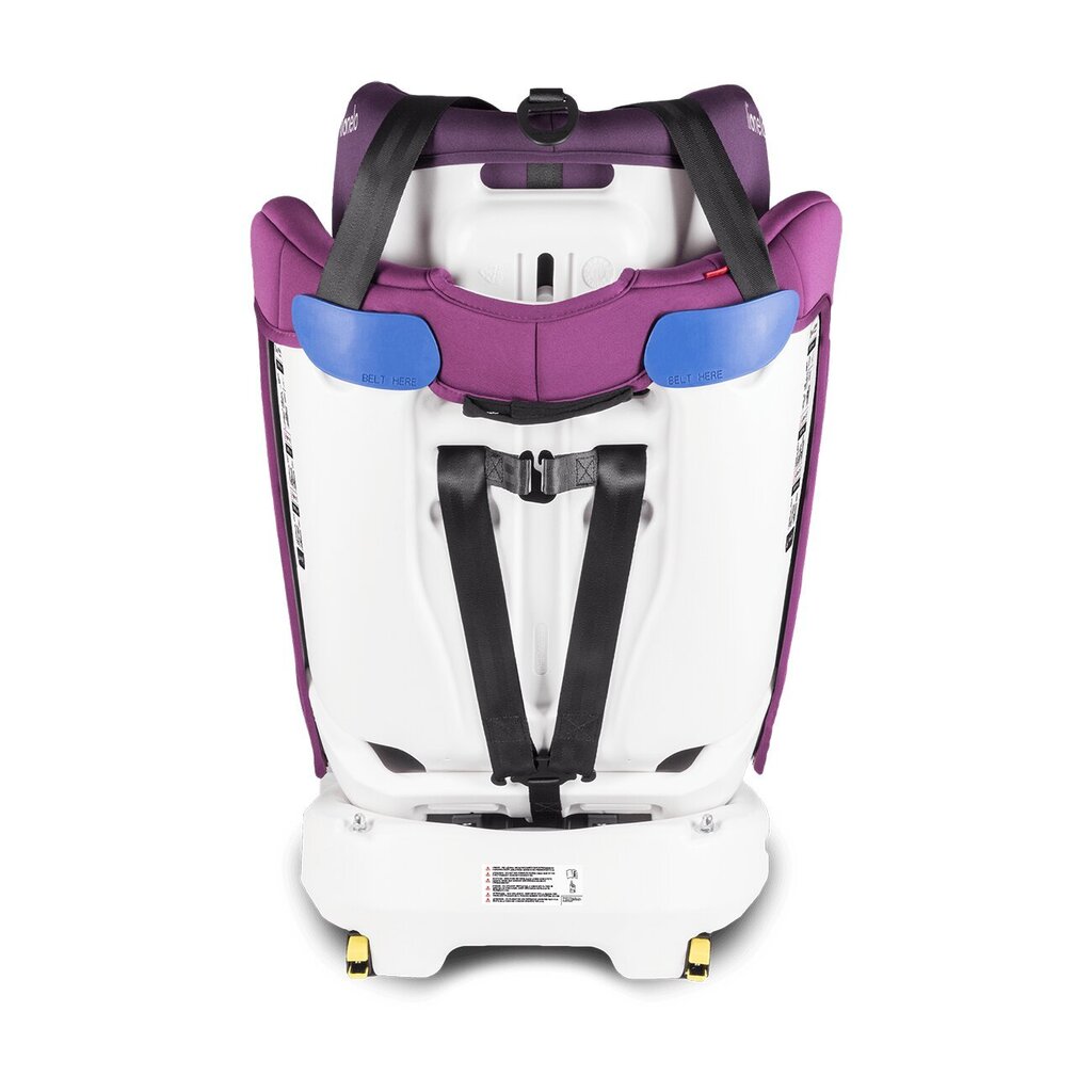 Turvatool Lionelo Bastiaan, 0-36 kg, violet цена и информация | Turvatoolid | kaup24.ee