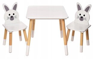 Laste jänkulaua ja toolide komplekt, valge цена и информация | Детские столы и стулья | kaup24.ee
