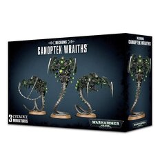 Kollektsioneeritavate figuuride komplekt Warhammer 40k Necron Canoptek Wraiths hind ja info | Klotsid ja konstruktorid | kaup24.ee