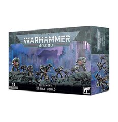 Kollektsioneeritavate figuuride komplekt Warhammer 40k Grey Knights Strike Squad hind ja info | Klotsid ja konstruktorid | kaup24.ee