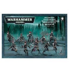 Kollektsioneeritavate figuuride komplekt Warhammer 40k Drukhari Wyches hind ja info | Klotsid ja konstruktorid | kaup24.ee