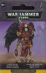 Kokkupandud figuur Warhammer 40k Blood Angels Astorath the Grim hind ja info | Klotsid ja konstruktorid | kaup24.ee