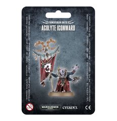 Kokkupandud figuur Warhammer 40k Genestealer Cults Acolyte Iconward hind ja info | Klotsid ja konstruktorid | kaup24.ee