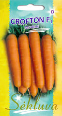 Морковь Crofton F1 цена и информация | Семена овощей, ягод | kaup24.ee