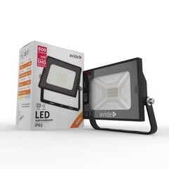 Avide LED välisprožektor 10W 800lm цена и информация | Уличное освещение | kaup24.ee