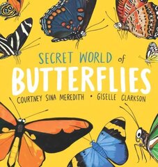 Secret World of Butterflies hind ja info | Väikelaste raamatud | kaup24.ee