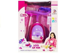 Laste tolmuimeja Jin Jia Tai hind ja info | Tüdrukute mänguasjad | kaup24.ee