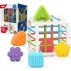Sensoorne figuuridega mänguasi Woopie цена и информация | Развивающие игрушки | kaup24.ee