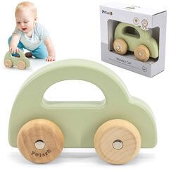 Puidust tõukurauto, roheline hind ja info | Imikute mänguasjad | kaup24.ee