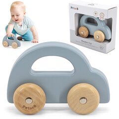 Puidust tõukeauto Viga PolarB, sinine hind ja info | Imikute mänguasjad | kaup24.ee