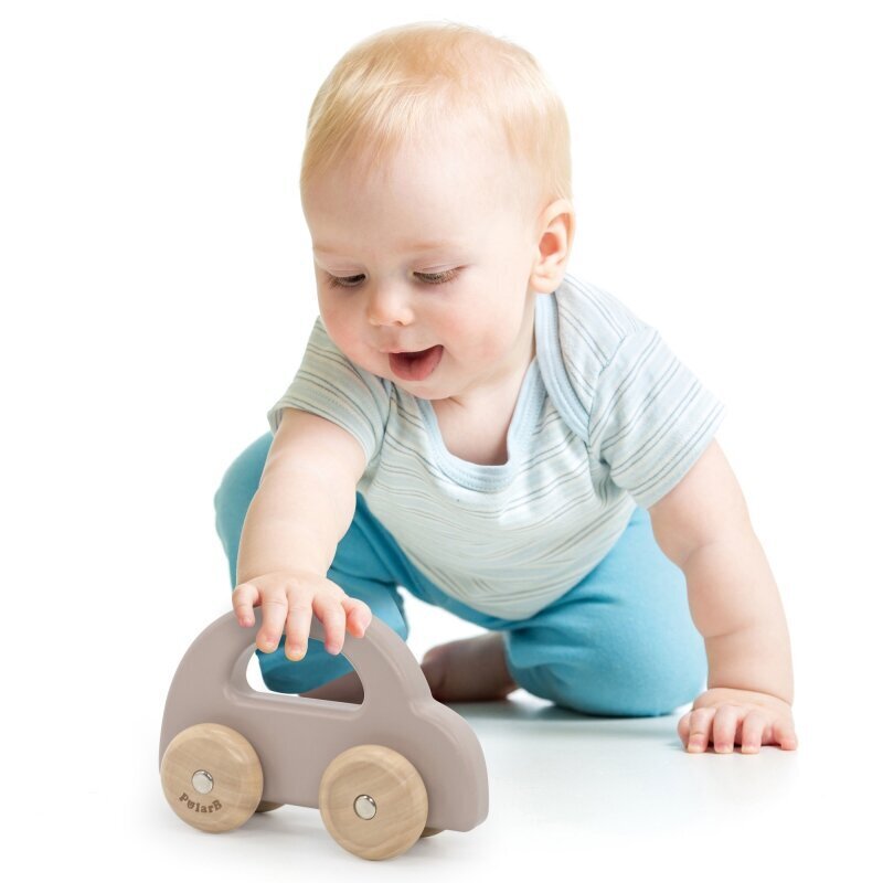 Puidust tõukeauto Viga PolarB, pruun цена и информация | Imikute mänguasjad | kaup24.ee