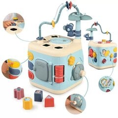 Сортер-лабрис Smoby цена и информация | Развивающие игрушки | kaup24.ee