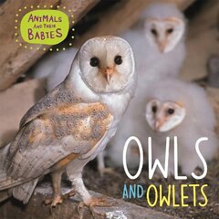 Animals and their Babies: Owls & Owlets, Illustrated edition hind ja info | Noortekirjandus | kaup24.ee