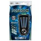 Nooled Winmau Poseidon, sinine, 25 g hind ja info | Noolemängud | kaup24.ee