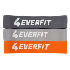 Vastupanu komplekt Deft Sport hipband 3 tk Erinevate värvide ja tugevustega цена и информация | Фитнес-резинки, гимнастические кольца | kaup24.ee