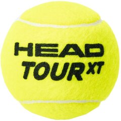 Tennisepallid Head Tour XT, kollased hind ja info | Välitennise tooted | kaup24.ee