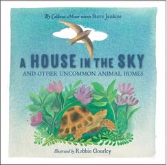 A House in the Sky hind ja info | Väikelaste raamatud | kaup24.ee