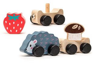Puidust mänguasi Siilrong Cubika hind ja info | Imikute mänguasjad | kaup24.ee