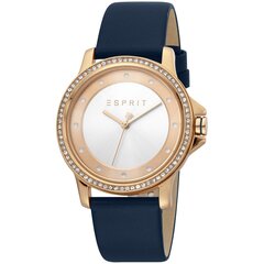 Женские часы Esprit ES1L143L0045 цена и информация | Женские часы | kaup24.ee