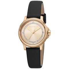 Женские часы Esprit ES1L144L0045 цена и информация | Женские часы | kaup24.ee