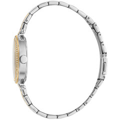 Женские часы Esprit ES1L327M0095 цена и информация | Женские часы | kaup24.ee
