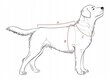 Jope koertele Animal Design Lady Red Derrick hind ja info | Riided koertele | kaup24.ee