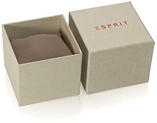 Мужские часы Esprit ES1G305P0085 цена и информация | Мужские часы | kaup24.ee