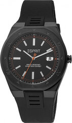 Мужские часы Esprit ES1G305P0085 цена и информация | Мужские часы | kaup24.ee