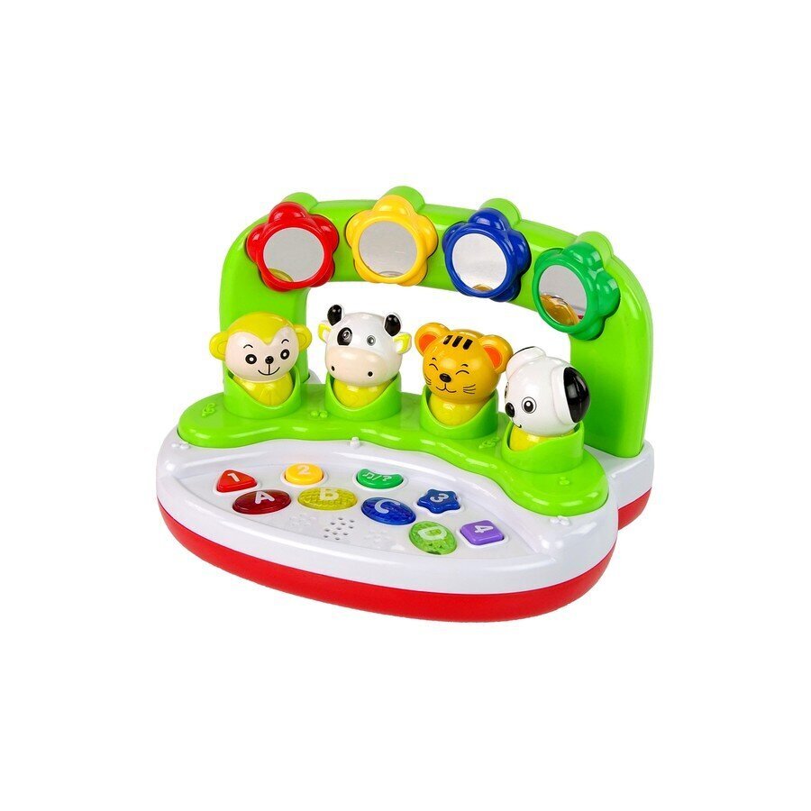 Interaktiivne muusikaline mänguasi Lean Toys, roheline hind ja info | Imikute mänguasjad | kaup24.ee