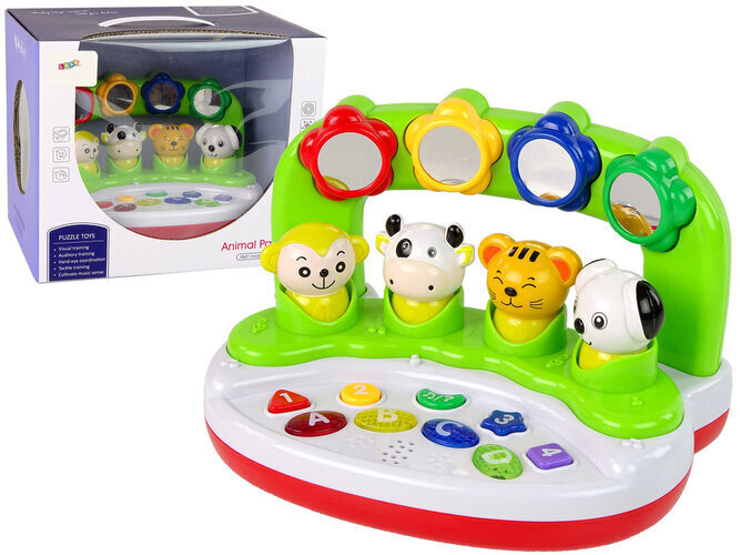 Interaktiivne muusikaline mänguasi Lean Toys, roheline hind ja info | Imikute mänguasjad | kaup24.ee