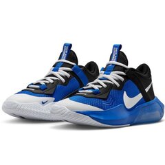 Korvpallijalatsid Nike Aja Zoom Coossover Jr, sinine цена и информация | Спортивная обувь, кроссовки для женщин | kaup24.ee