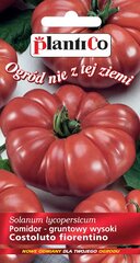 Tomat Costoluto Fiorentiono цена и информация | Семена овощей, ягод | kaup24.ee