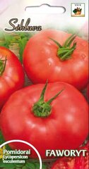 Tomat Faworyt hind ja info | Köögivilja-, marjaseemned | kaup24.ee