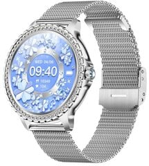 Zaxer ZI58 Silver Mesh цена и информация | Смарт-часы (smartwatch) | kaup24.ee